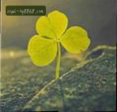 李娜